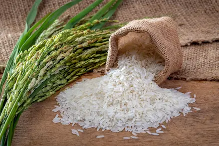 White and parboiled rice